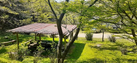 255-236(44-41)味見桜公園413_124110