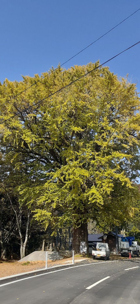 181-165(23-22)仲山城跡キャンプ場1104_112127