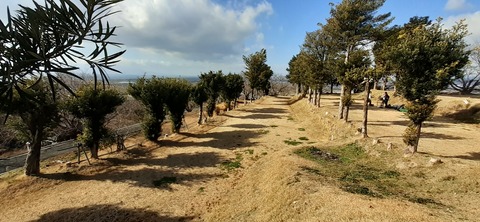 135-120(34-34)草枕山荘30_125558