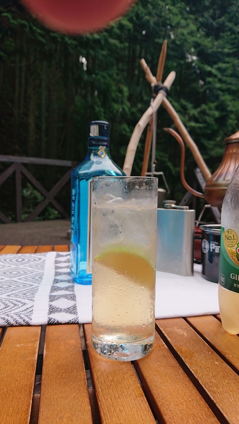 118-103(17-17)グランピングKAWASAKI２92S