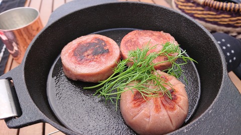 77-62(32-28)目白洞キャンプ場5015