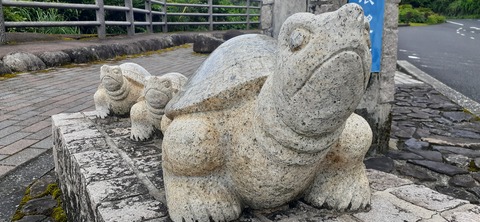 258-239(47-44)オーシャンビュー429_133159