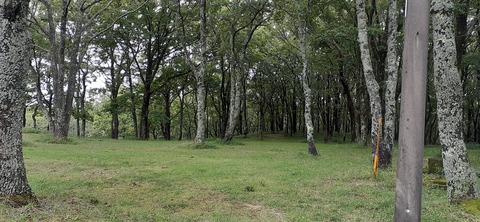 172-157(14-14)くじゅう自然動物園903_145059