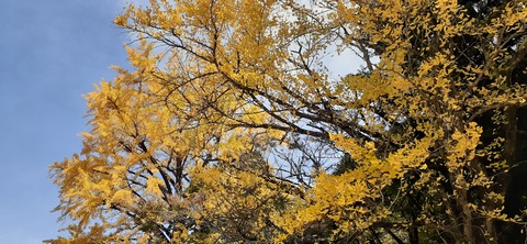 237-220(26-25)るるパーク1111_114829