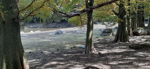 234-217(23-22)広川原キャンプ場1028_130825