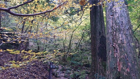 124-109(23-23)英彦山野営場97