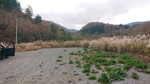 73-60(28-24)よかろうパーク599S