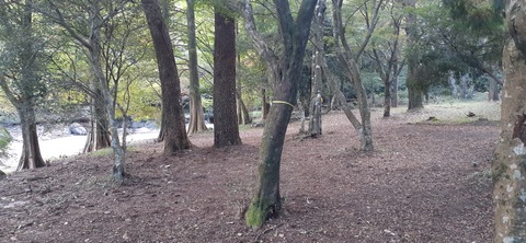 234-217(23-22)広川原キャンプ場1028_131042