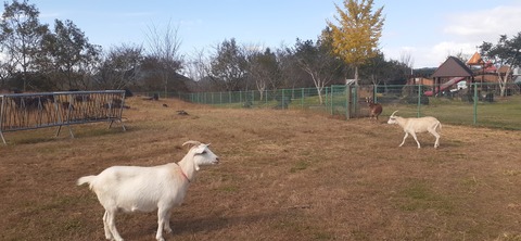 237-220(26-25)るるパーク1111_130809