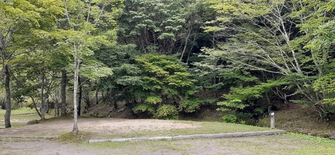 216-200(5-5)山鳥の森623_132309