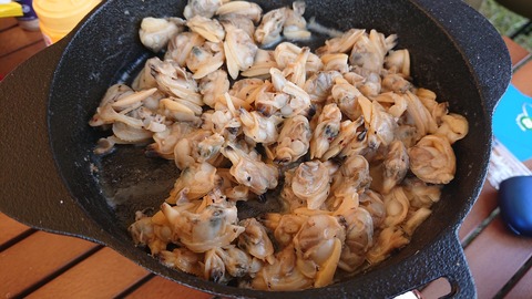 63-51(18-15)久住高原オートビレッジ843S