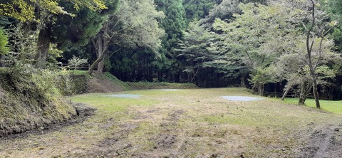 168-153(10-10)阿蘇ファンタジーの森806_122225