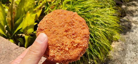 168-153(10-10)阿蘇ファンタジーの森806_115944