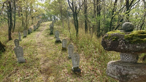 96-81(51-45)伐株山憩いの森584