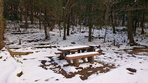 81-67(36-31)深坂自然の森273