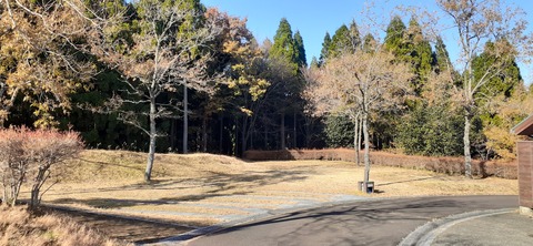 240-223(29-28)ひなもりキャンプ場1124_141712