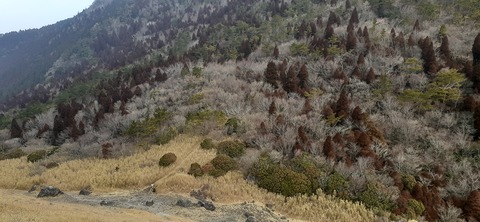 250-231(39-36)RECAMP志高湖 由布岳211_091955