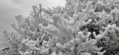 251-232(40-37)法華院温泉山荘2泊目224_101326