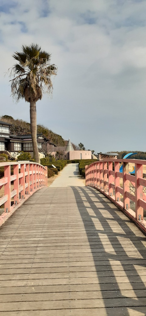 198-182(40-39)キワラビーチ225_133745