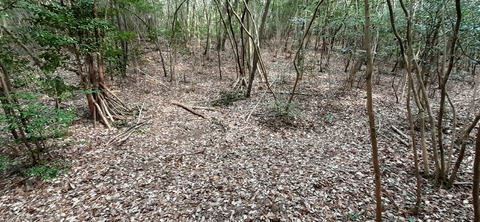 144-129(43-43)スゼンジハウスオープンエア26_105848