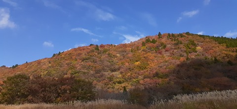 182-166(24-23)長湯きらりキャンプ場1106_123521