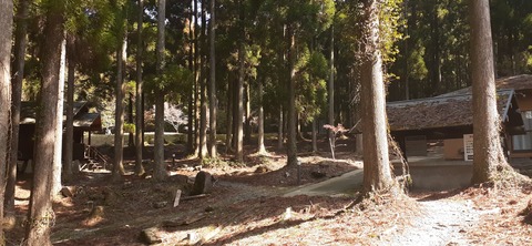 199-183(41-40)山中キャンプ場311_112428