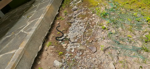 268-248(5-4)岳切渓谷キャンプ場615_143446