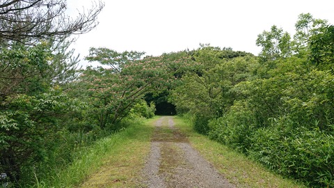 49-39物見山総合公園378S