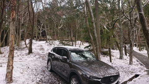 78-63(33-29)北山キャンプ場85S