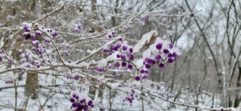 238-221(27-26)法華院温泉山荘1118_102820