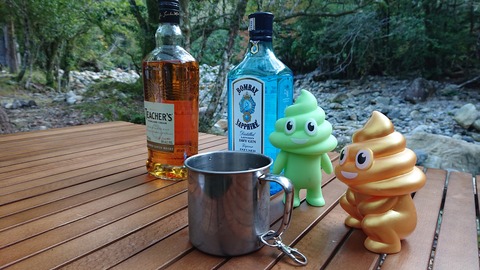 68-55(23-19)藤河内渓谷キャンプ場260S