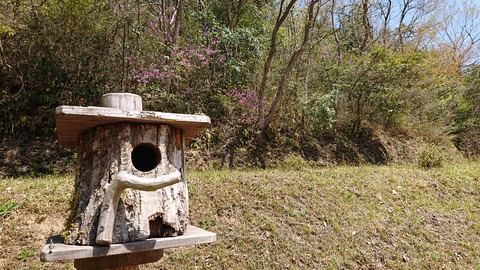 95-80(50-44)小鳥の森キャンプ場460