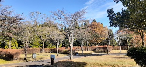 240-223(29-28)ひなもりキャンプ場1124_141825