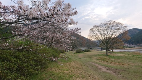 91,92-77,78(46,47-41,42)阿武川河川公園144