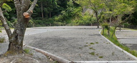 216-200(5-5)山鳥の森623_131250