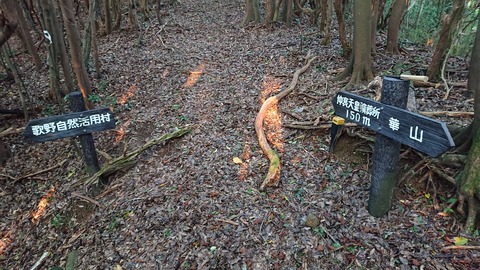 16-13華山ゲリラキャンプ515