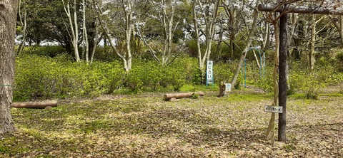 203-187(45-44)長崎鼻リゾートキャンプ場401_125715