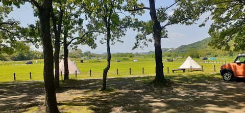 207-191(49-48)津志田河川公園乙女河原501_132756