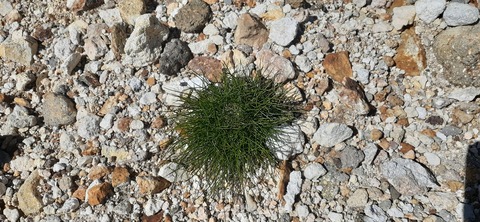 270-250(7-6)法華院温泉728_093724