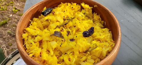 203-187(45-44)長崎鼻リゾートキャンプ場401_163826