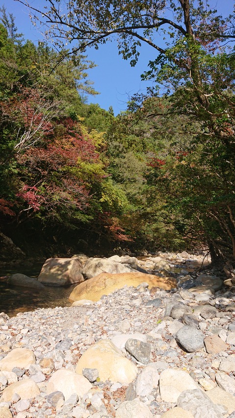 68-55(23-19)藤河内渓谷キャンプ場197S