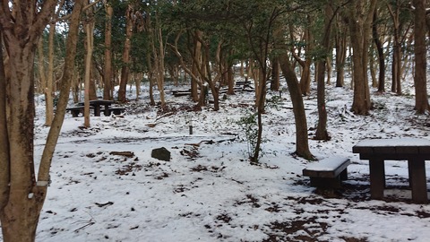 81-67(36-31)深坂自然の森277