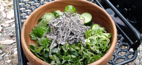 157-142(56-56)日之影キャンプ村506_143855