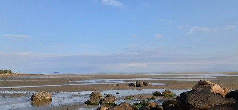 198-182(40-39)キワラビーチ225_163405