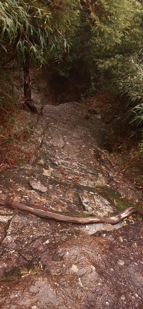 260-241(49-46)宮之浦岳淀川小屋501_145925