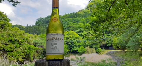 158-143(57-57)陽目の里キャンピングパーク507_145340