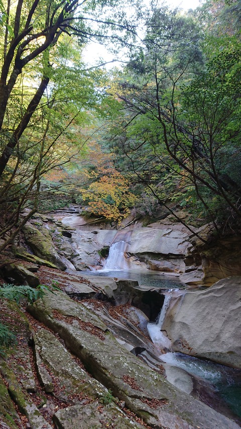 68-55(23-19)藤河内渓谷キャンプ場238S