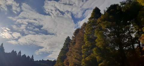 234-217(23-22)広川原キャンプ場1029_082426