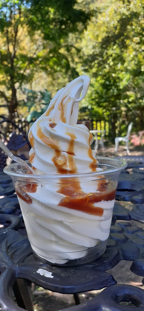 179-163(21-20)ゴンドーシャロレー7泊目1030_124353