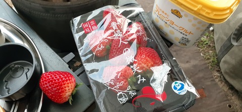 203-187(45-44)長崎鼻リゾートキャンプ場401_180524